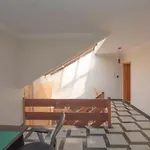 Lar Da Dri